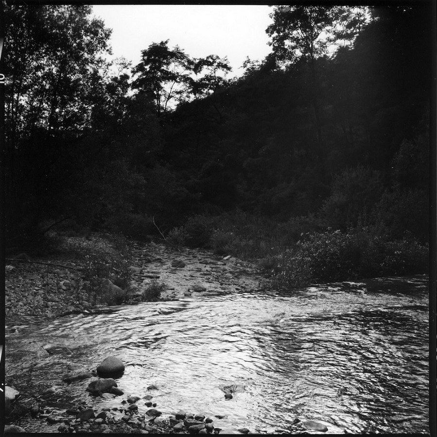 Graziella Reggio - Torrente Fersina 2020