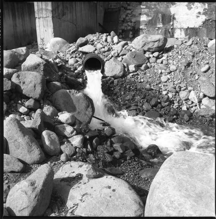 Graziella Reggio - Torrente Fersina 2020