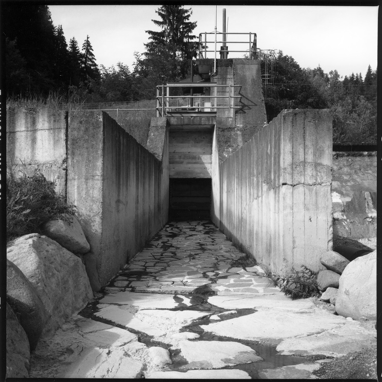 Graziella Reggio - Torrente Fersina 2020