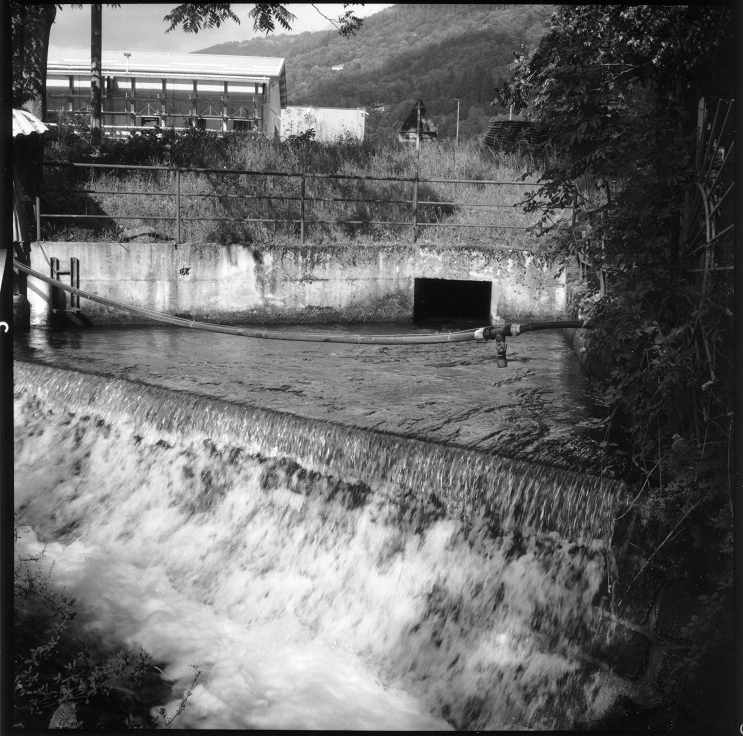 Graziella Reggio - Torrente Fersina 2020