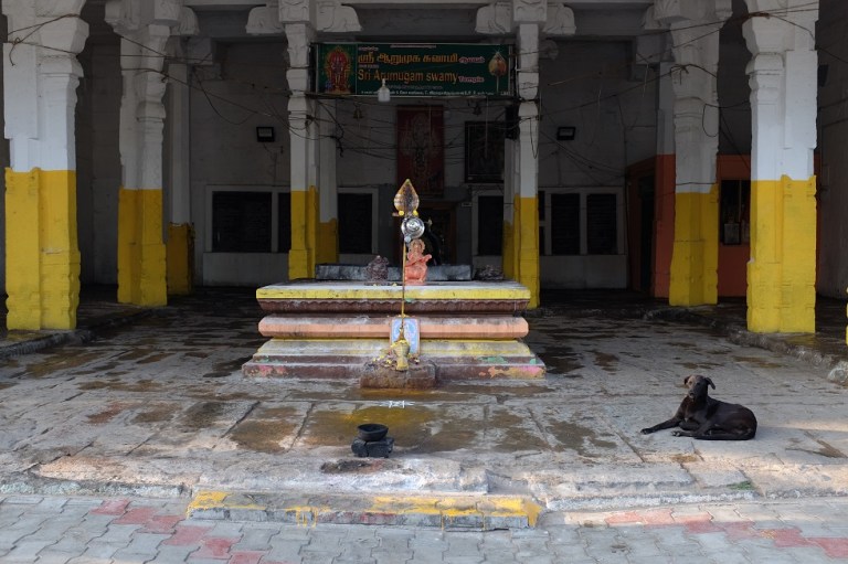 Graziella Reggio, South India, Tiruvannamalai 2023