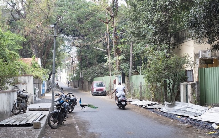 Graziella Reggio, South India, Tiruvannamalai 2023