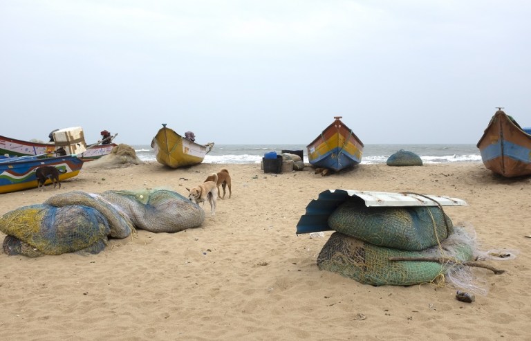 Graziella Reggio, South India, Mahabalipuram, 2023