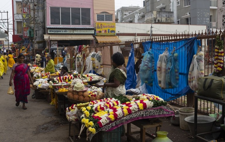 Graziella Reggio, South India, Tiruvannamalai 2023