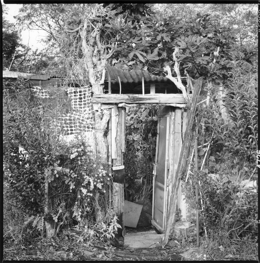 Graziella Reggio, orti urbani - urban gardens, 2025