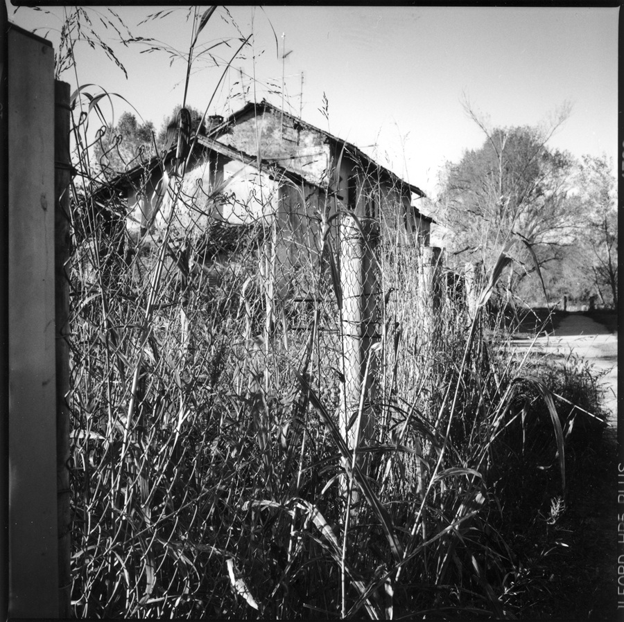 Graziella Reggio, orti urbani - urban gardens, 2025